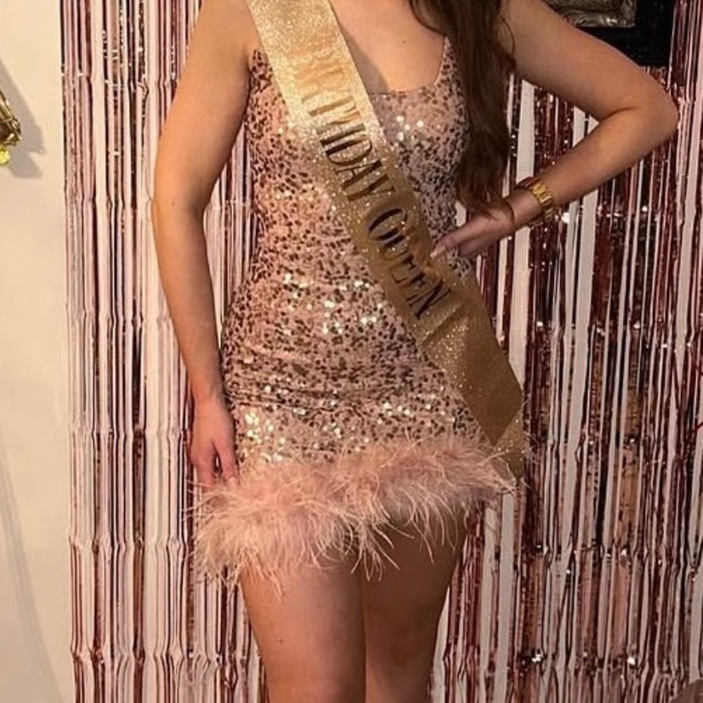 Windsor Pink Sparkly Feather Dress
